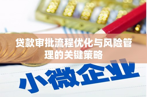 沙鹿贷款审批流程优化与风险管理的关键策略