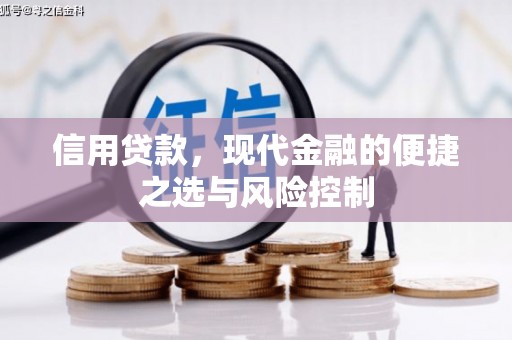 沙鹿信用贷款，现代金融的便捷之选与风险控制