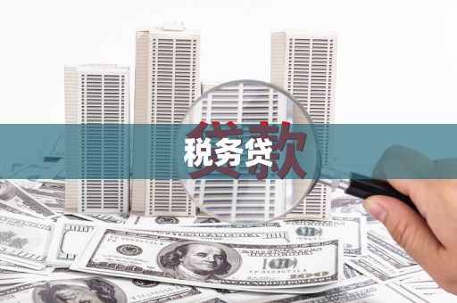 沙鹿税务贷