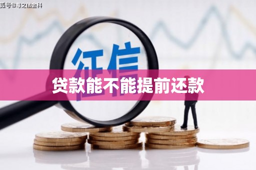 沙鹿贷款能不能提前还款