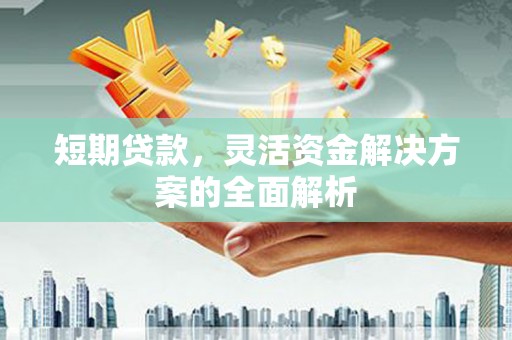 沙鹿短期贷款，灵活资金解决方案的全面解析