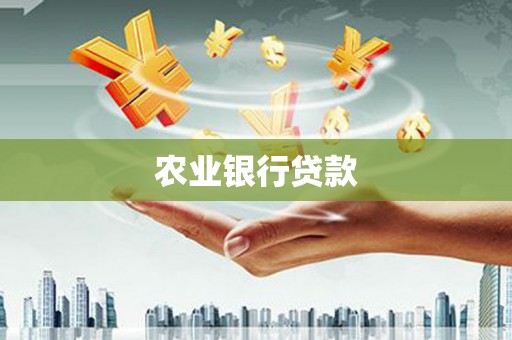 沙鹿农业银行贷款