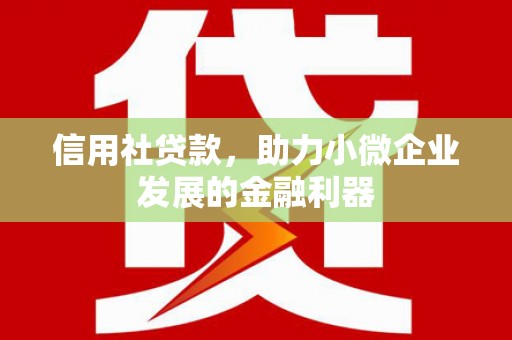 沙鹿信用社贷款，助力小微企业发展的金融利器