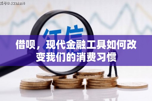 沙鹿借呗，现代金融工具如何改变我们的消费习惯