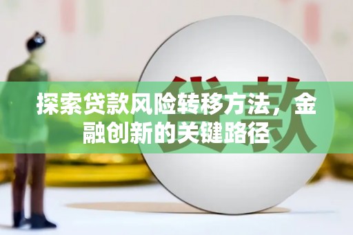 沙鹿探索贷款风险转移方法，金融创新的关键路径