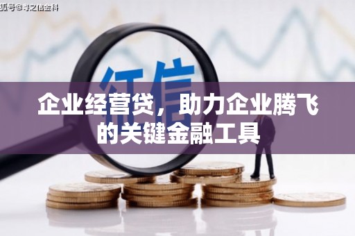 沙鹿企业经营贷，助力企业腾飞的关键金融工具