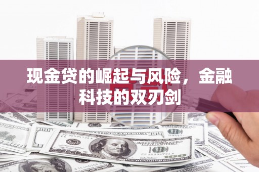沙鹿现金贷的崛起与风险，金融科技的双刃剑