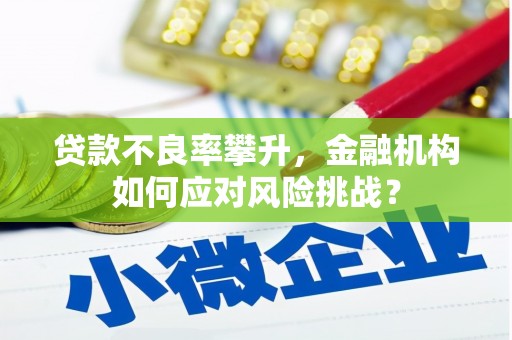 沙鹿贷款不良率攀升，金融机构如何应对风险挑战？