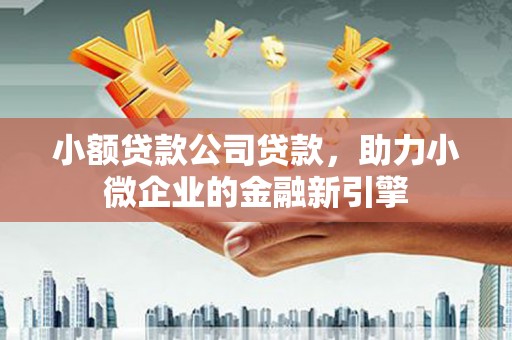 沙鹿小额贷款公司贷款，助力小微企业的金融新引擎