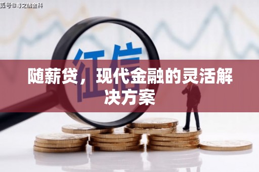 沙鹿随薪贷，现代金融的灵活解决方案