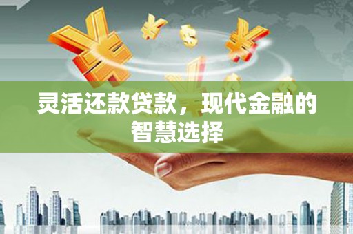 沙鹿灵活还款贷款，现代金融的智慧选择