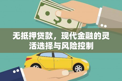 沙鹿无抵押贷款，现代金融的灵活选择与风险控制