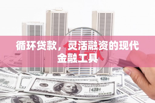 沙鹿循环贷款，灵活融资的现代金融工具