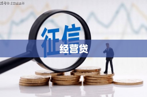 沙鹿经营贷