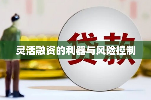沙鹿灵活融资的利器与风险控制