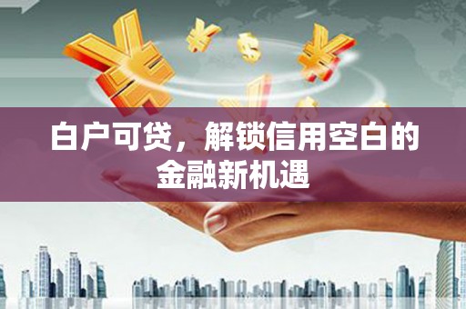 沙鹿白户可贷，解锁信用空白的金融新机遇