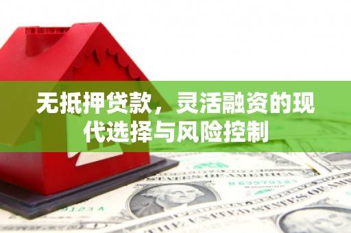 沙鹿无抵押贷款，灵活融资的现代选择与风险控制