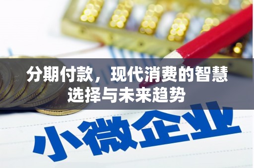 沙鹿分期付款，现代消费的智慧选择与未来趋势