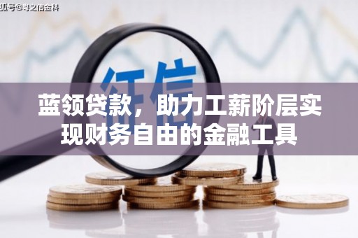沙鹿蓝领贷款，助力工薪阶层实现财务自由的金融工具