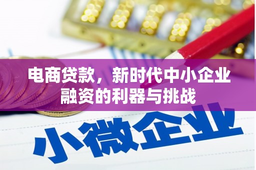 沙鹿电商贷款，新时代中小企业融资的利器与挑战