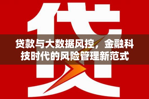 沙鹿贷款与大数据风控，金融科技时代的风险管理新范式