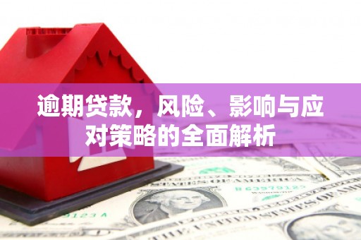 沙鹿逾期贷款，风险、影响与应对策略的全面解析