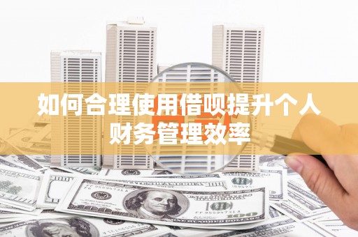 沙鹿如何合理使用借呗提升个人财务管理效率