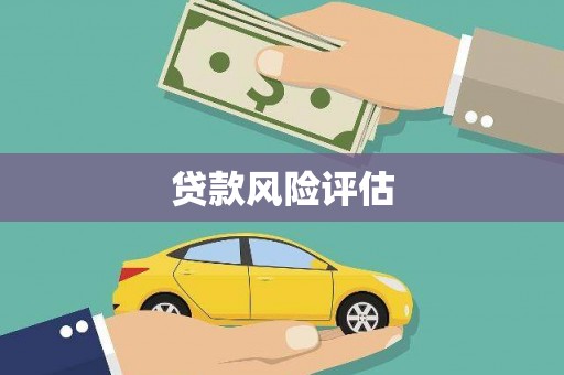沙鹿贷款风险评估