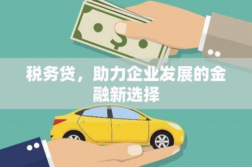 沙鹿税务贷，助力企业发展的金融新选择