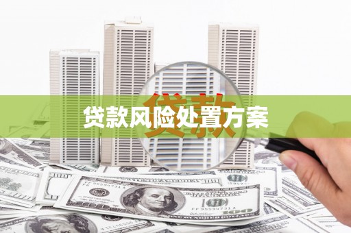 沙鹿贷款风险处置方案
