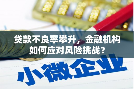 沙鹿贷款不良率攀升，金融机构如何应对风险挑战？