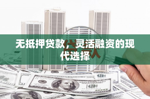 沙鹿无抵押贷款，灵活融资的现代选择