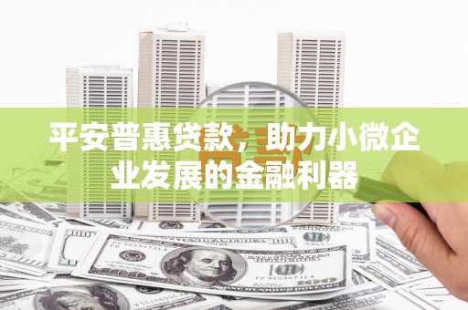 沙鹿平安普惠贷款，助力小微企业发展的金融利器