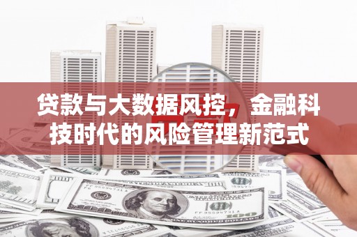 沙鹿贷款与大数据风控，金融科技时代的风险管理新范式