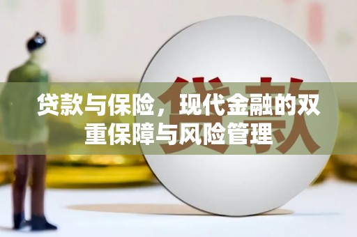 沙鹿贷款与保险，现代金融的双重保障与风险管理