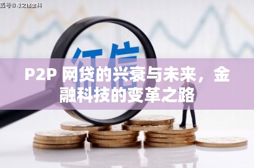 沙鹿P2P 网贷的兴衰与未来，金融科技的变革之路