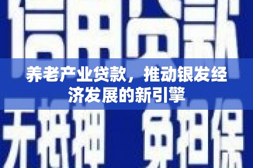 沙鹿养老产业贷款，推动银发经济发展的新引擎
