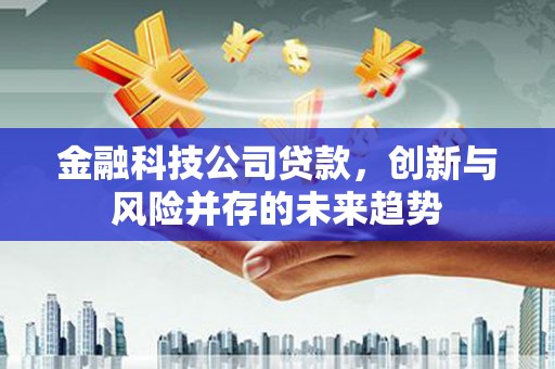 沙鹿金融科技公司贷款，创新与风险并存的未来趋势