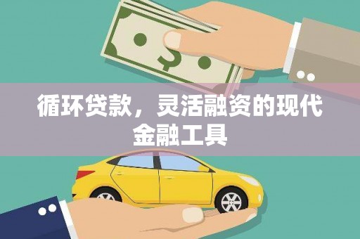 沙鹿循环贷款，灵活融资的现代金融工具