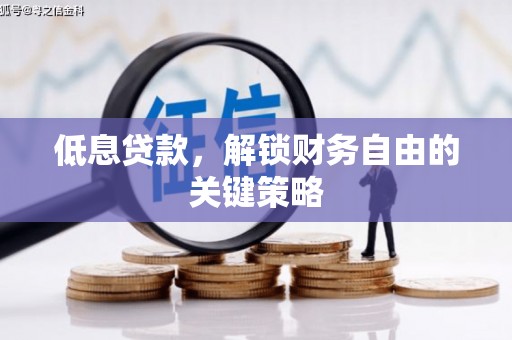 沙鹿低息贷款，解锁财务自由的关键策略