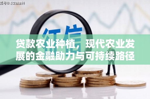 沙鹿贷款农业种植，现代农业发展的金融助力与可持续路径