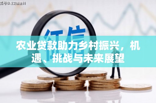 沙鹿农业贷款助力乡村振兴，机遇、挑战与未来展望