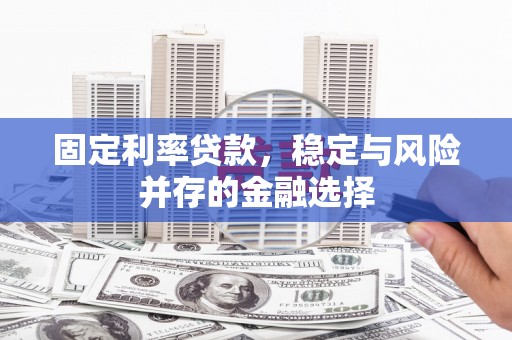 沙鹿固定利率贷款，稳定与风险并存的金融选择