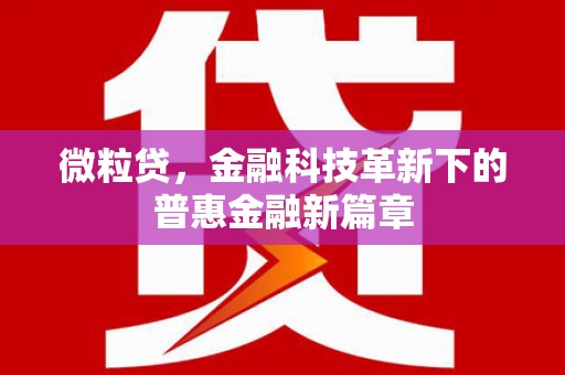 沙鹿微粒贷，金融科技革新下的普惠金融新篇章