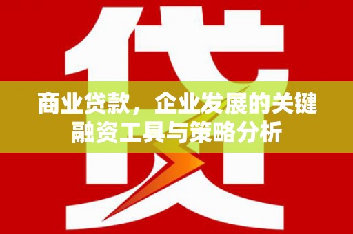 沙鹿商业贷款，企业发展的关键融资工具与策略分析