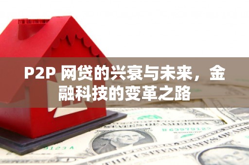 沙鹿P2P 网贷的兴衰与未来，金融科技的变革之路