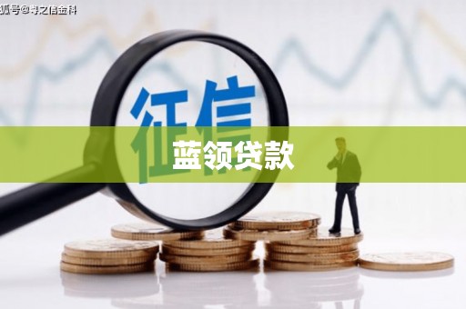 沙鹿蓝领贷款