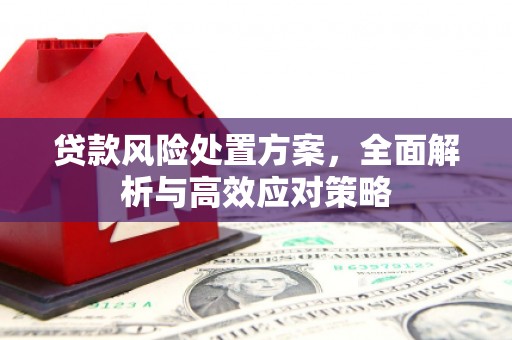 沙鹿贷款风险处置方案，全面解析与高效应对策略