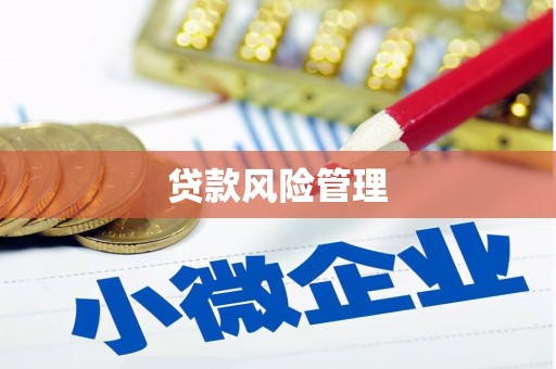 沙鹿贷款风险管理