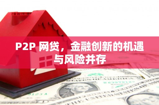沙鹿P2P 网贷，金融创新的机遇与风险并存